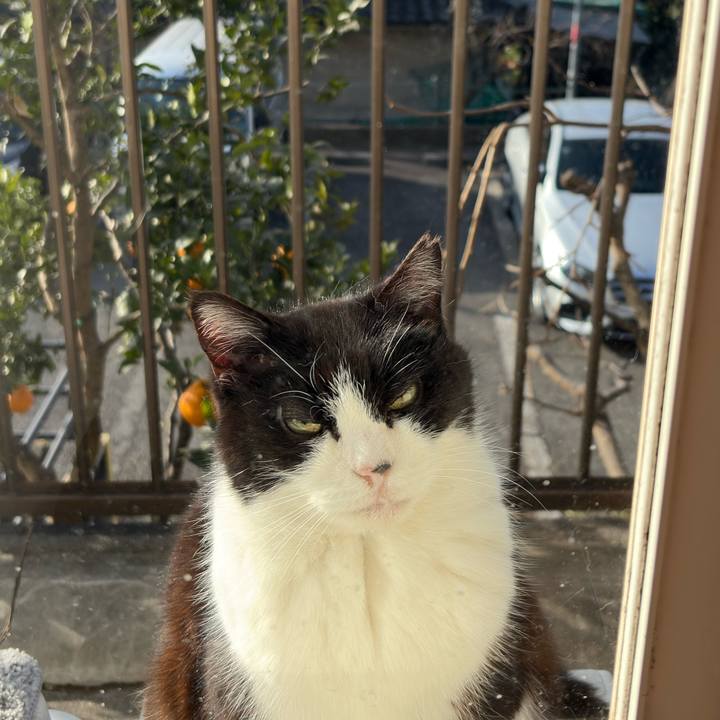 3f47512c 8411 4aa3 945d 6f5e52e1f182 1768640483623