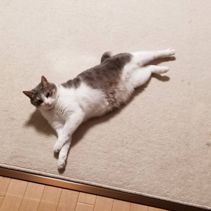 3f478789 0f87 4726 955c 05b8b652482e 1559564544396