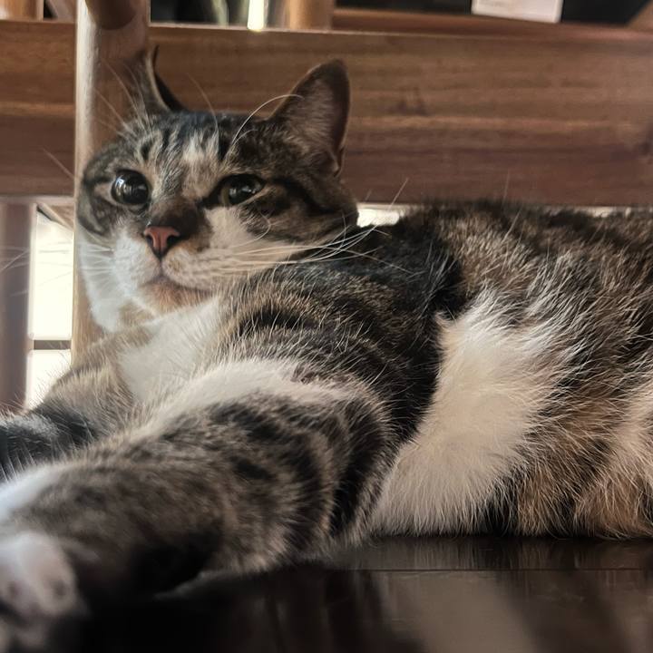 3f478ed8 4a90 4f69 90a5 52512cfcf249 1769913176686