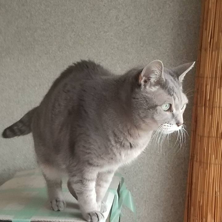 3f47a96f 7725 4145 a64e a298380b801d 1670031243380