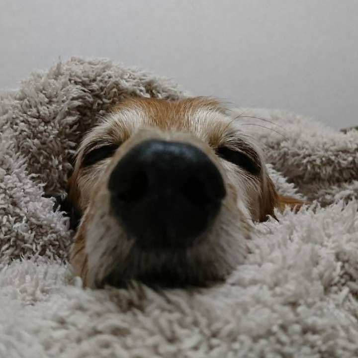 3f47b9ed 6a5f 4a59 9080 4c4ca58b0bc7 1518456821085