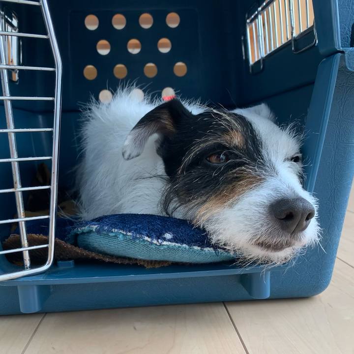 3f47c811 d4d0 4818 b610 170869539606 1681349710414