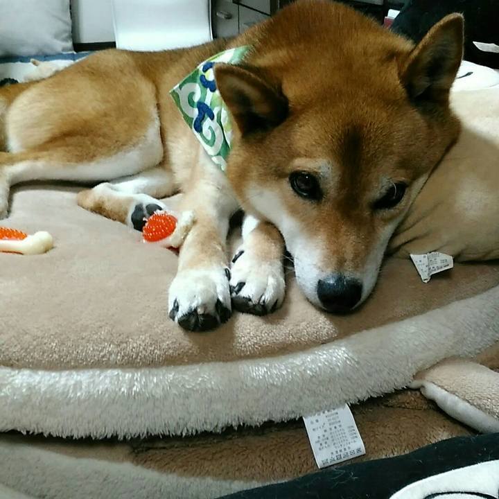 3f47cc02 caa7 4092 8fe4 b8eae1c49972 1559663708242