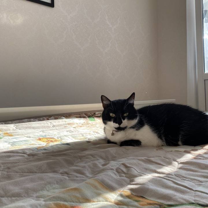 3f483320 a674 4b73 8c4e 35750ef5e6f8 1582906935591