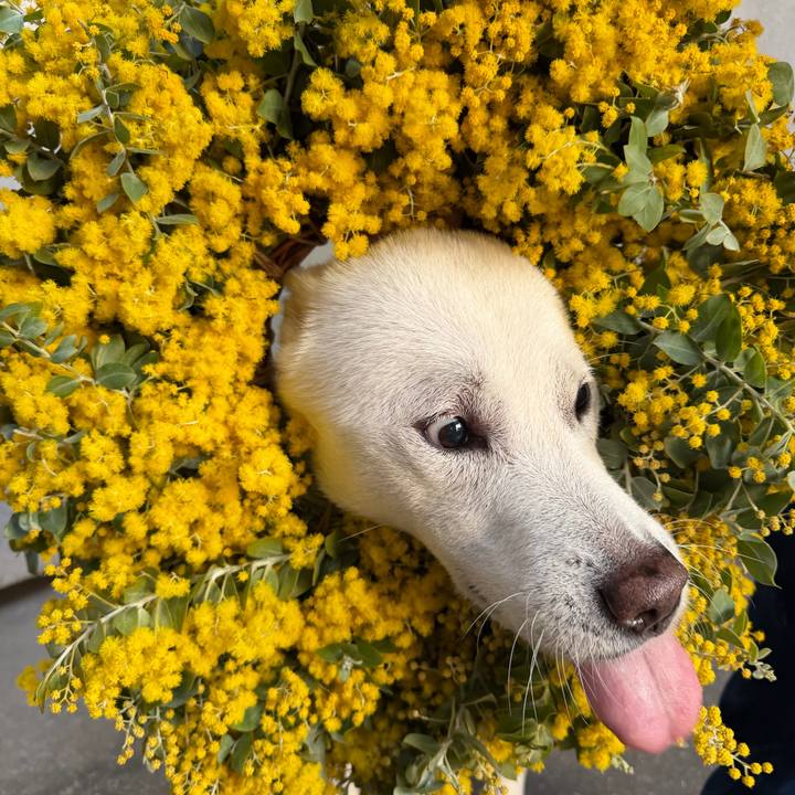 3f483784 1a3f 40f8 8f55 a19fb5a74ba5 1773567959498