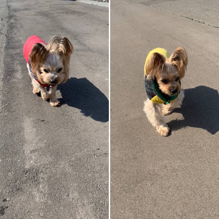 3f483d82 f6cb 4fe2 8372 95f583c0ada4 1648719207525