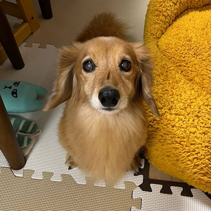 3f4851d1 8659 4ca1 a805 0a106359a7d2 1637156883459