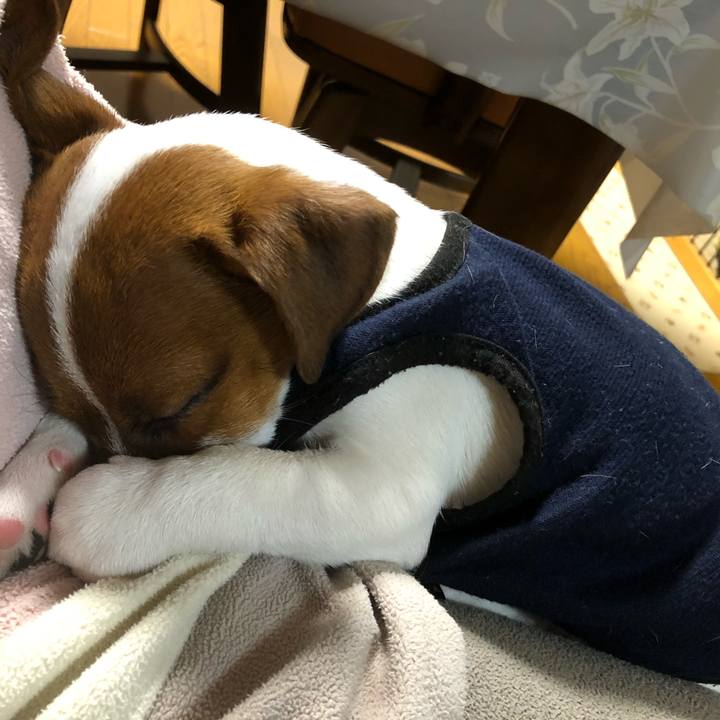 3f485e23 8613 4ca2 bf40 2f8a29f966d0 1515240733666