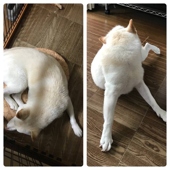 3f4867b9 6ca5 4eaf b5b9 6c79125f6456 1538010159294