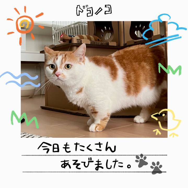 3f4890d7 4aa2 49f7 b584 785b6ff19a8c 1755148569495