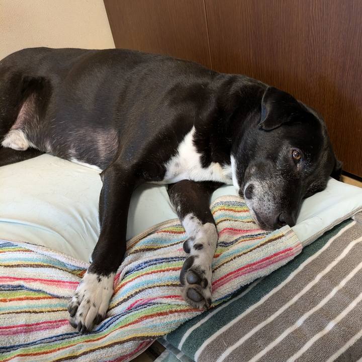 3f48b8a2 0319 4b70 9caf a2d243d61841 1724151861992