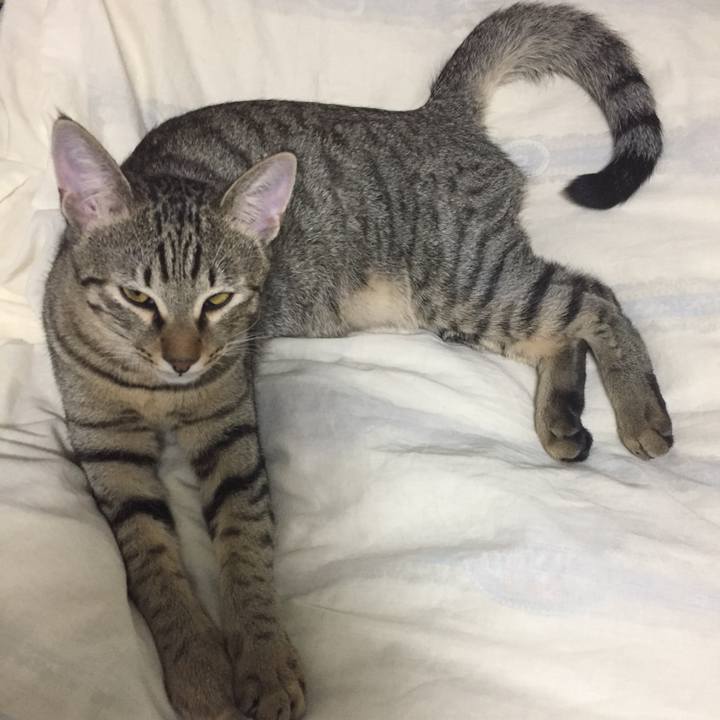 3f48c7f5 f148 4b5d 8415 7c955050f2b1 1511101981557