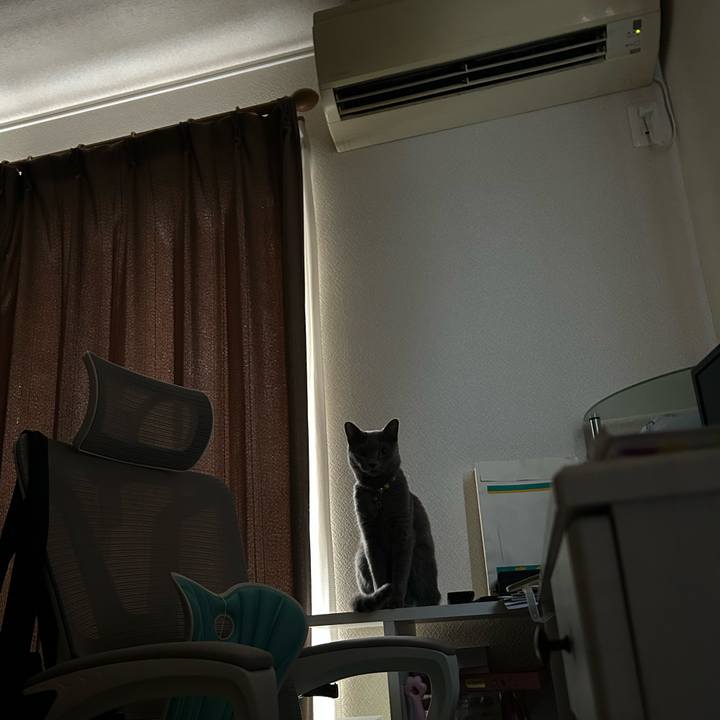 3f48e70e 69c6 4276 b11c 060c9364be13 1693130757594