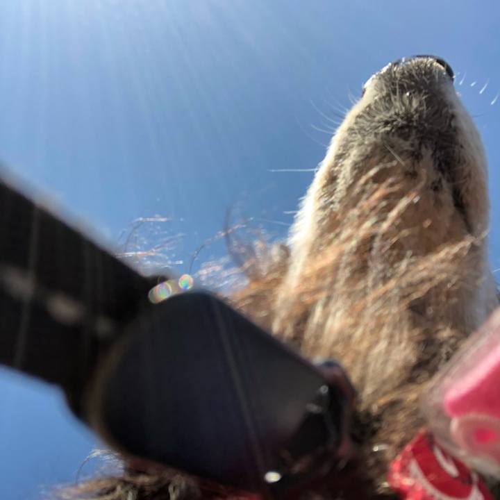 3f48fd3d 2295 4788 b317 71ed470154d5 1611188836663