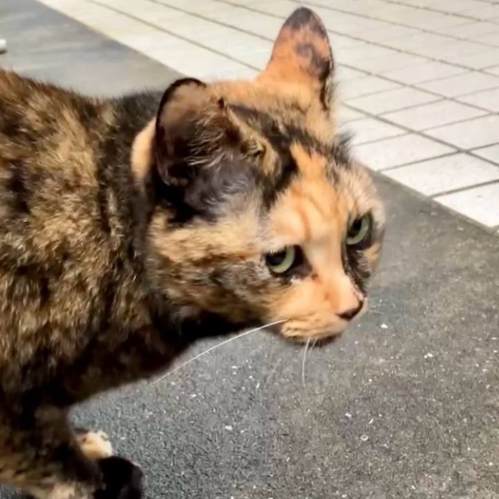 3f491973 5ef5 4cc1 86c3 88a1d3b1cef1 1731639713988