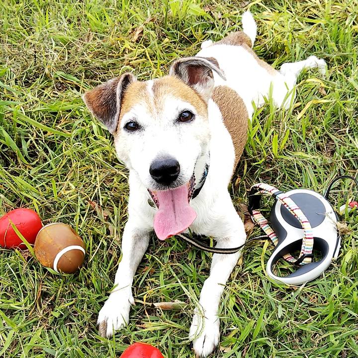 3f492dcb 5532 4c03 a45e a5b2b23e645b 1758289489359