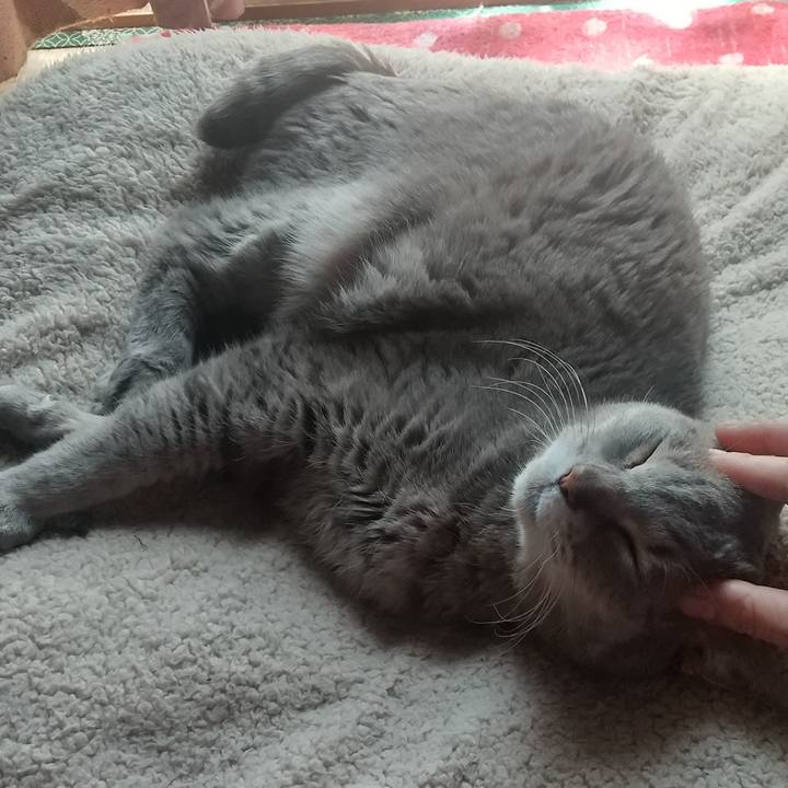 3f49454e 63f0 465e a25b 44ef7a7c1539 1684370710824