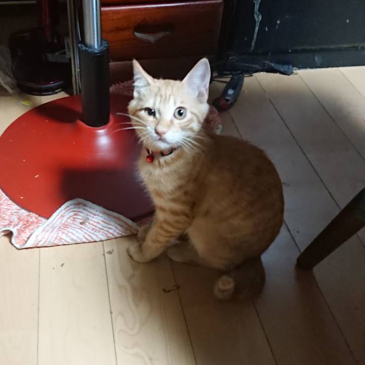 3f49ae27 28ba 43e7 9f38 1be99b29d5ef 1633466495983