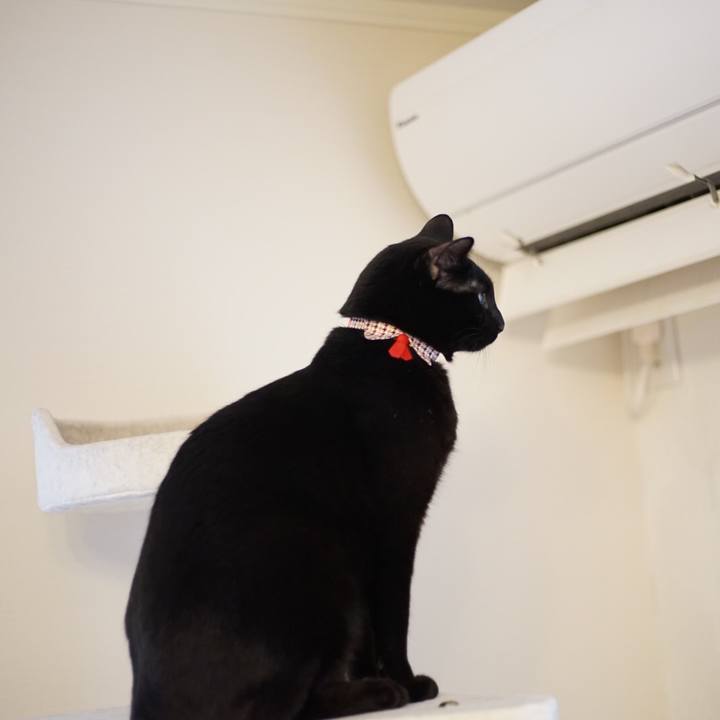 3f49d2a2 a2ba 4243 9141 d28845cdf3da 1520379423411