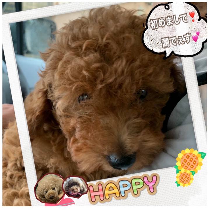 3f49f10c 70b0 492b 8412 5f8678b0f442 1594368725012