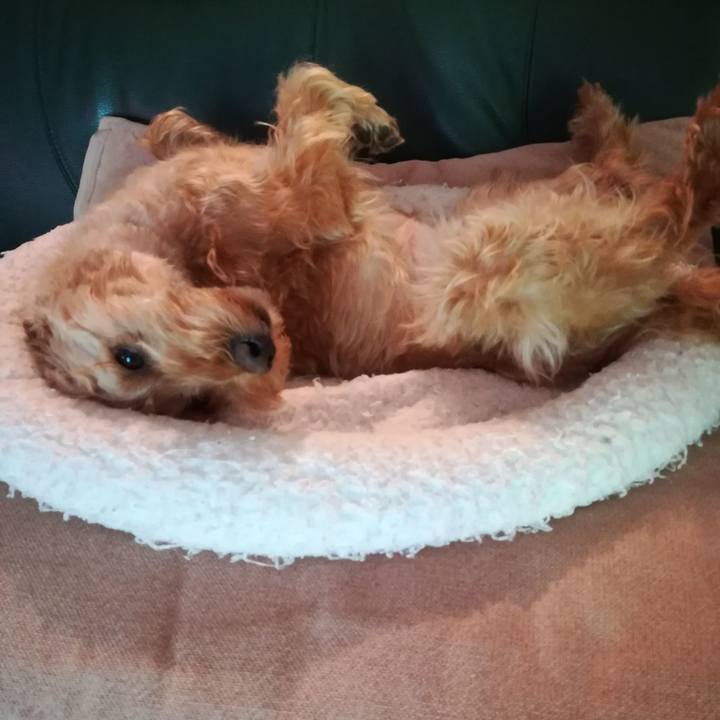 3f49fef8 8aeb 43d6 a7bb 137694d8ca70 1561502739054