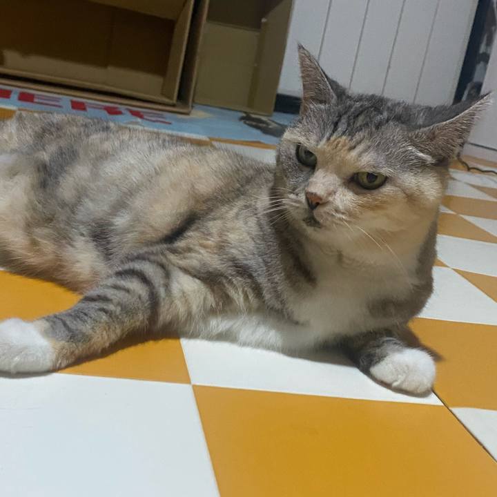 3f4a717a 2576 4498 a4e5 9d9b54d484b7 1722680824927