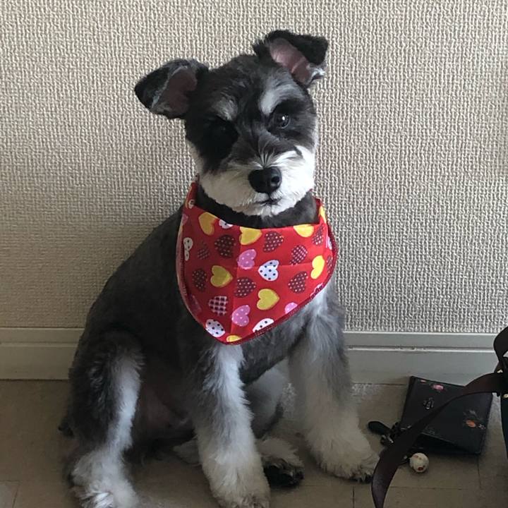 3f4a7f0e f446 4ab2 8a27 7299069846b6 1602931130930