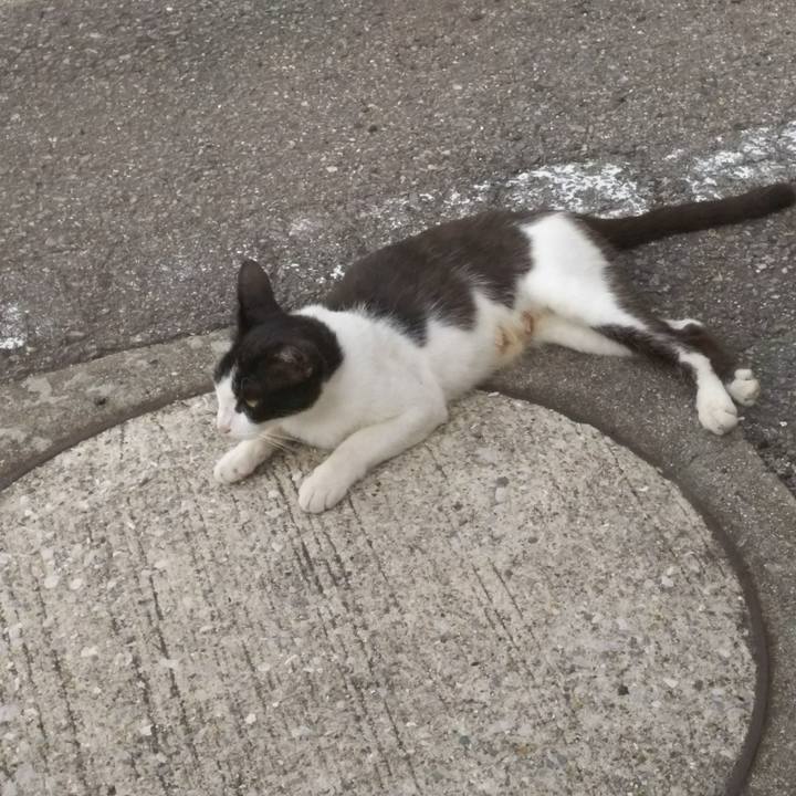 3f4a8a16 0aed 44b6 abaa ac2ff34510a2 1532254429323