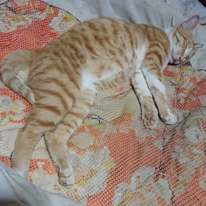 3f4afb86 c06e 4249 b014 f856e0a6ca53 1562504277737