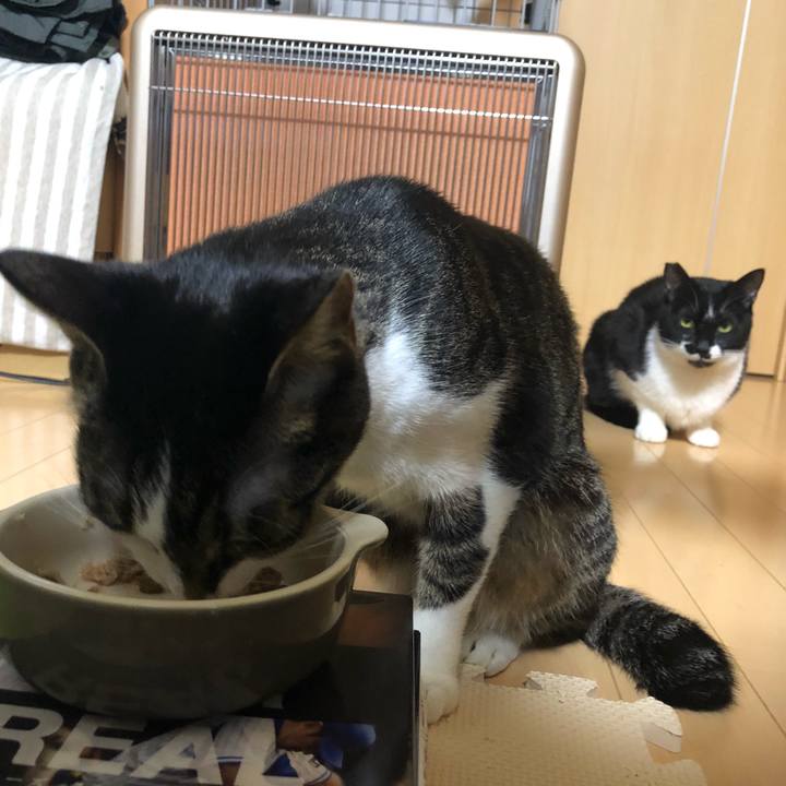 3f4b0c15 5e97 4e38 8dd9 56d61f2a301c 1550130694381