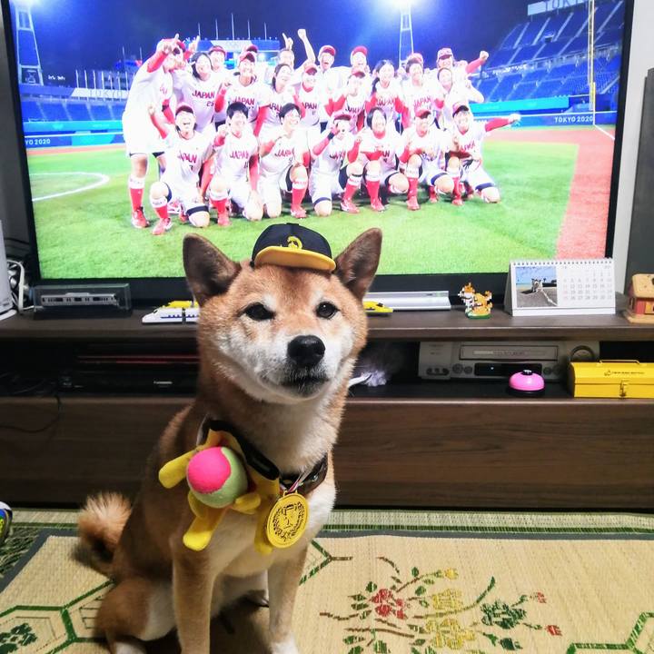 3f4b16cb 319d 4620 90d2 daf05493980b 1627391584249