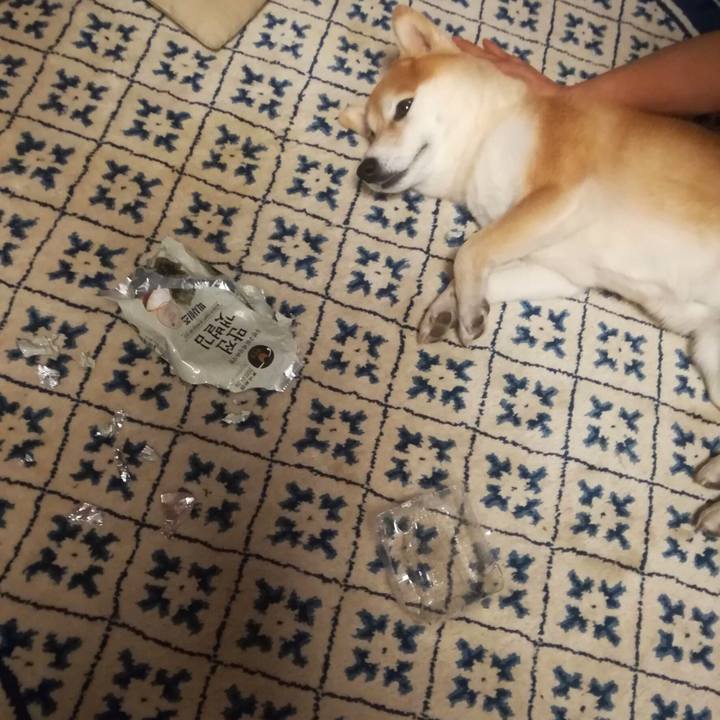 3f4b1f4f 968c 4931 96e4 a79a5522a1ac 1553314490261