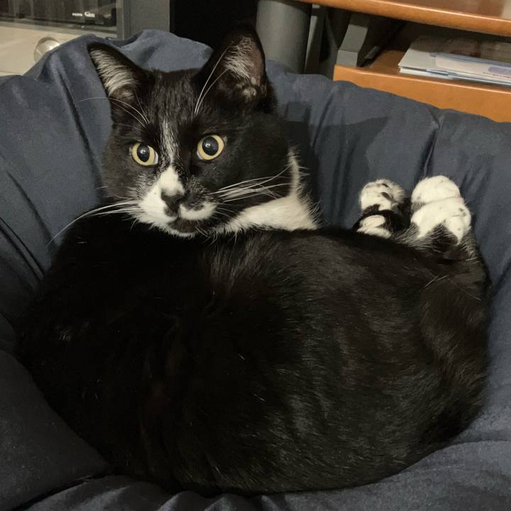 3f4b494b cce6 497f a9a1 44a54b136b70 1680751945785