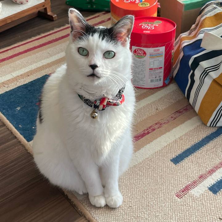 3f4bc16a 22da 4056 9d4a 8ce51a8da9de 1710654912293