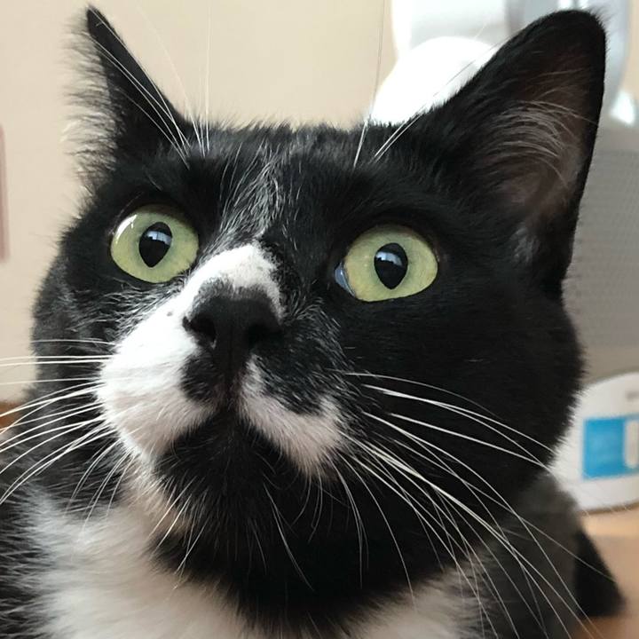 3f4bdd86 3c69 41af abd0 e90f07294476 1598671594141