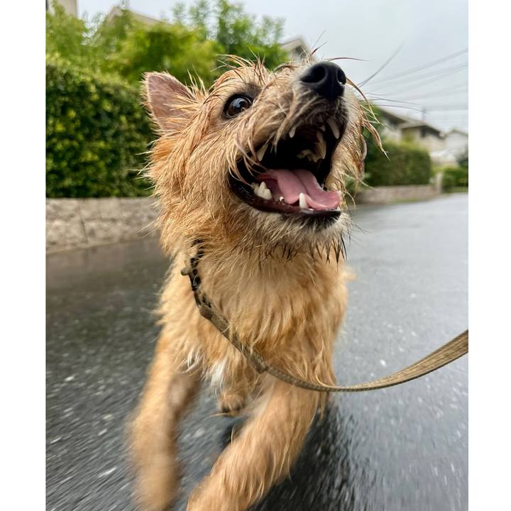 3f4be40b 7176 4d54 9b54 22fbb4d175c4 1727019141820