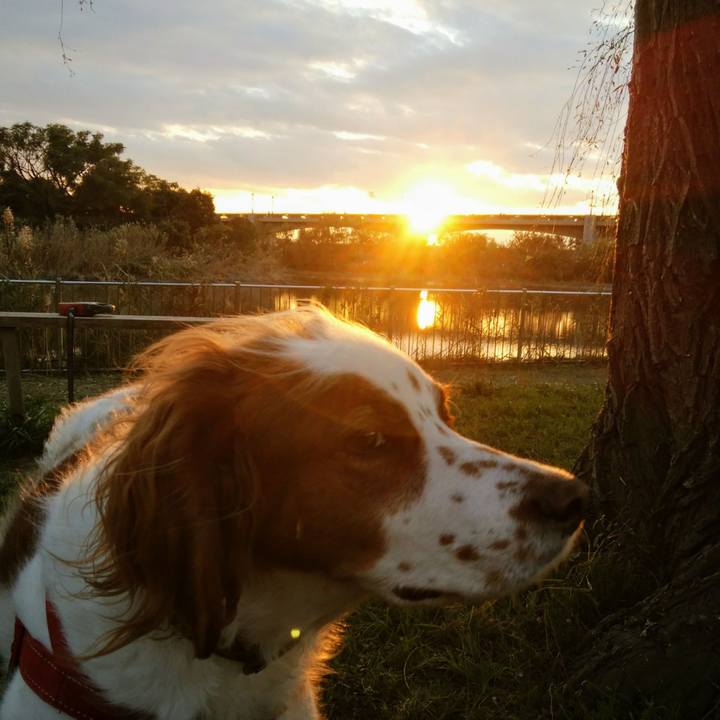 3f4bebff a801 4cfb 9ac5 4bb08df24298 1542712005192