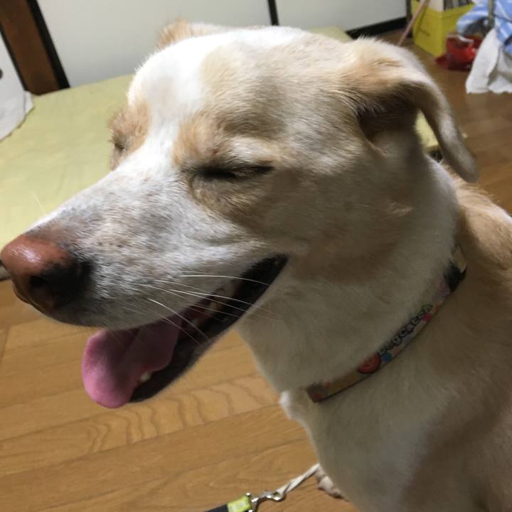 3f4c03f9 cc97 4640 9093 e83a1fd921c2 1539184573714