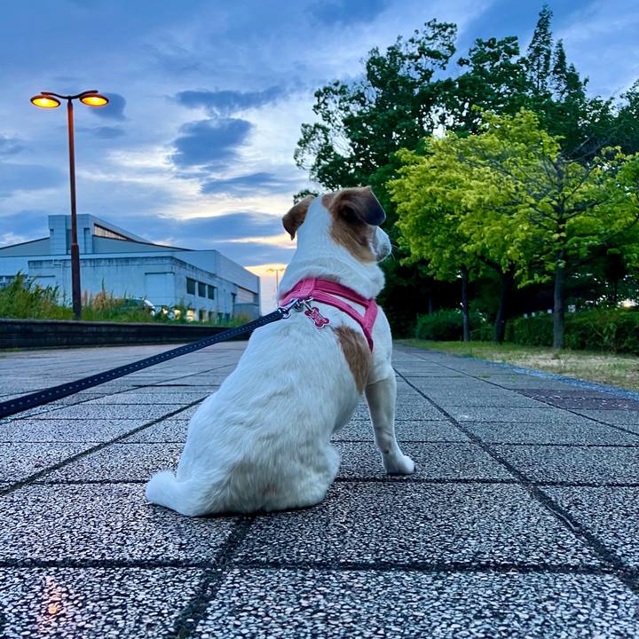 3f4c06da da4c 42c5 8030 b27183f6220e 1715001651911