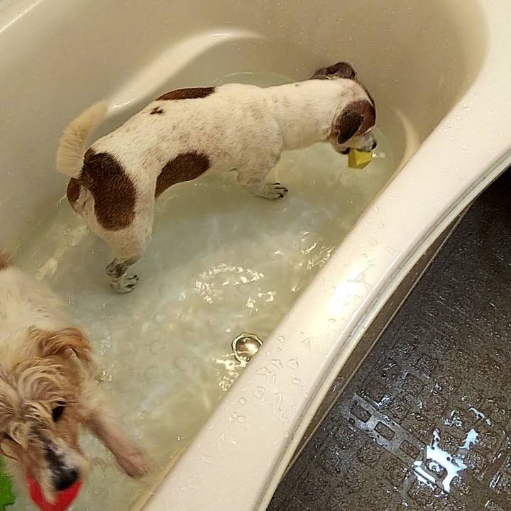 3f4c09ac ce1d 41c4 b00f b55721f20d0b 1566090188449