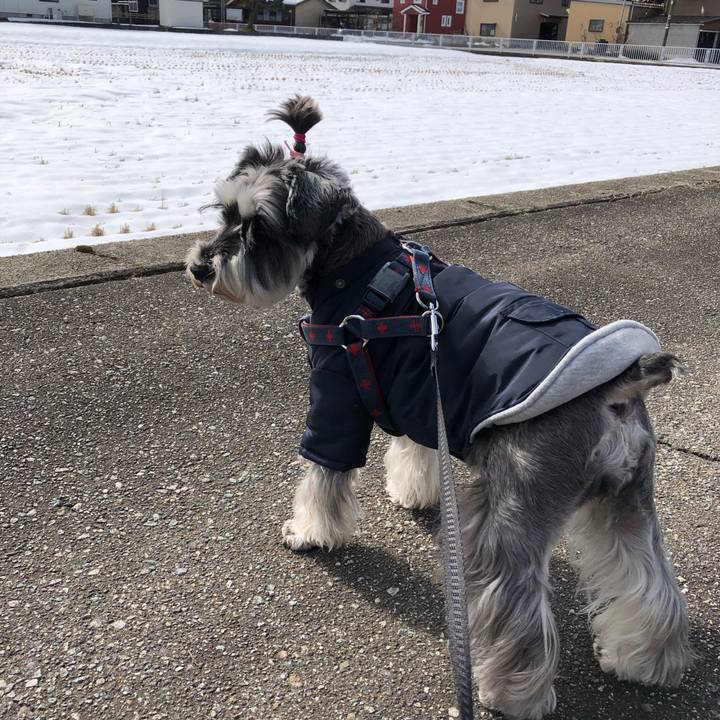 3f4c1932 3512 4f8b a210 d49efbe2a531 1644642503704