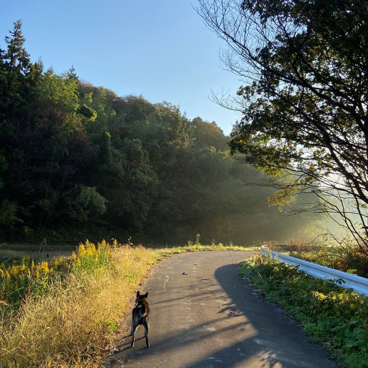 3f4c1cf1 2312 46ee b87b 77e64a519654 1635982055324