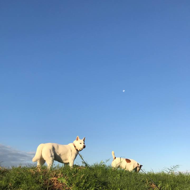 3f4c4462 7d02 40db 87b8 86fe9996e2bc 1540680316896