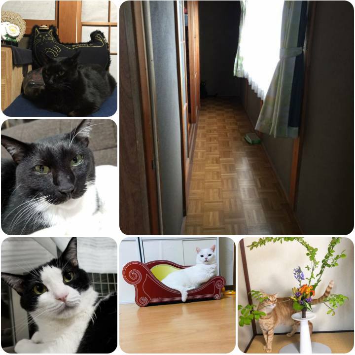 3f4c4d7f 3d4c 44c6 a0f4 e8f214ed8fd5 1562918330660