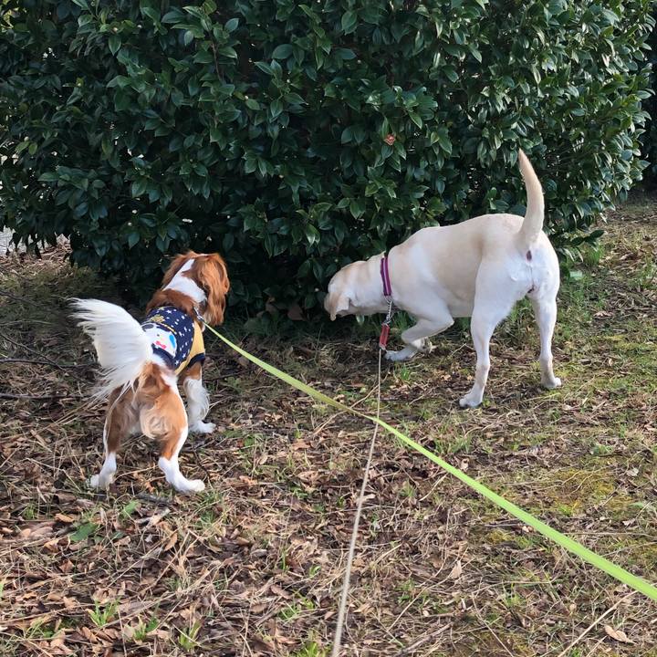 3f4c584e 29ee 41c2 9d6e 1ab9305627e0 1578224920506