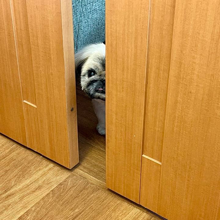 3f4c5f73 4e91 4637 b409 bf1687a5a881 1738991555566