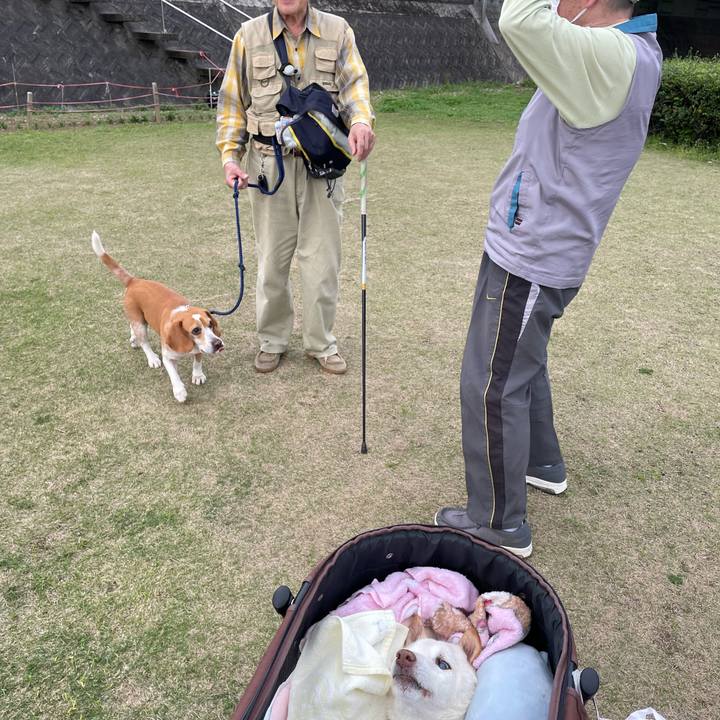 3f4c6853 bda4 4164 8e08 9cb39e0b87da 1679652301155