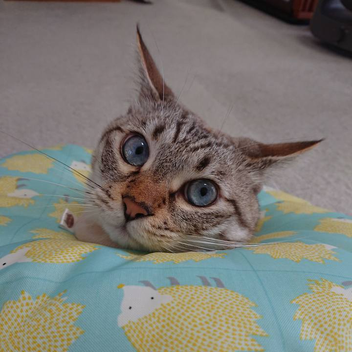 3f4c7d8f 7232 4de1 8766 20dae2338351 1564191581260