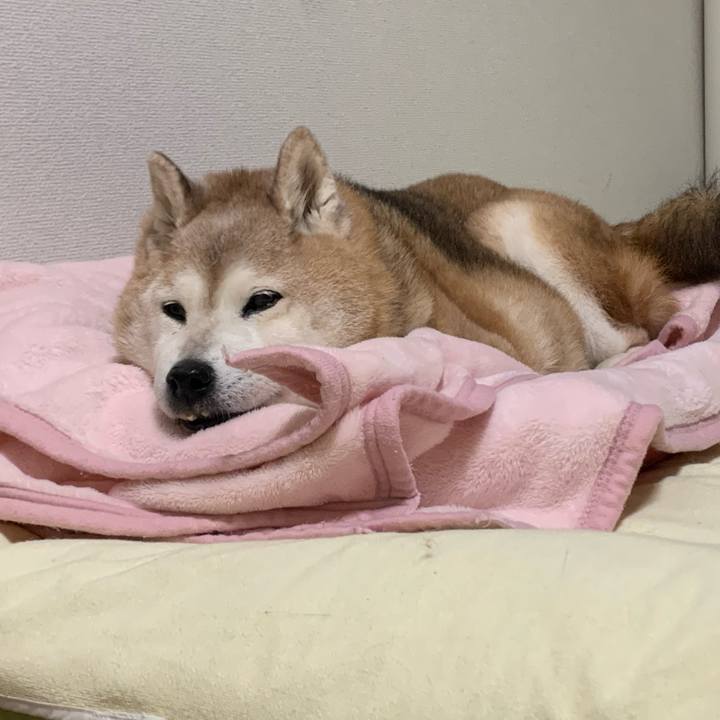 3f4c80d3 8f02 44ee 838b 779fa342c33a 1665054632159