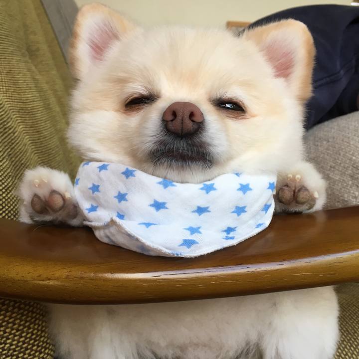 3f4c8799 7b59 46f6 94dc e4f59fb0ca5e 1600664240911